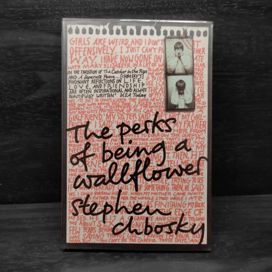 The Perks Of Being A Wallflower - Stephen Chbosky รูปที่ 1