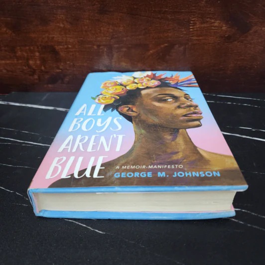 All Boys Aren't Blue - George M. Johnson รูปที่ 4