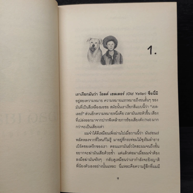โอลด์ เยลเลอร์ คู่หูสี่ขาผู้สัตย์ซื่อ - เฟรด กิ๊บสัน รูปที่ 6