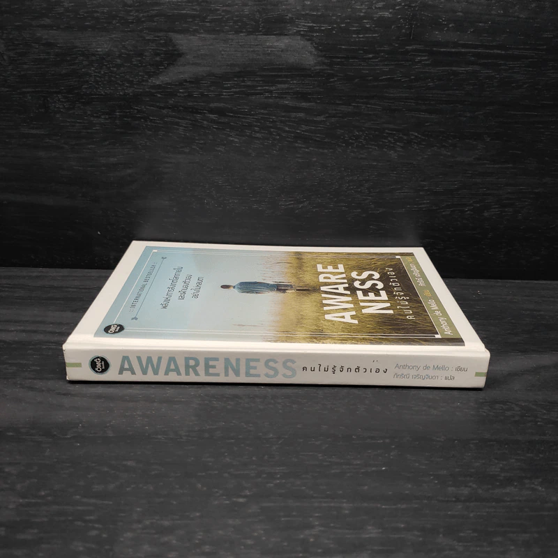 Awareness คนไม่รู้จักตัวเอง - Anthony de Mello รูปที่ 3