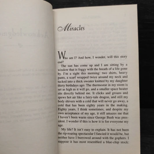 The Notebook - Nicholas Sparks รูปที่ 6