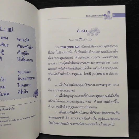 แม่ พระคุณของแม่ รูปที่ 5