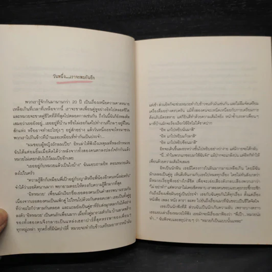 7,300 วันที่เรารักกัน Lots of Love - ธนาพร ตั้งเจริญมั่นคง รูปที่ 5