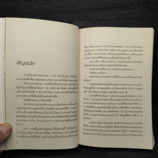 สองเงาในเกาหลี - ทรงกลด บางยี่ขัน รูปที่ 7