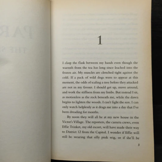 The Hunger Games Catching Fire - Suzanne Collins รูปที่ 7