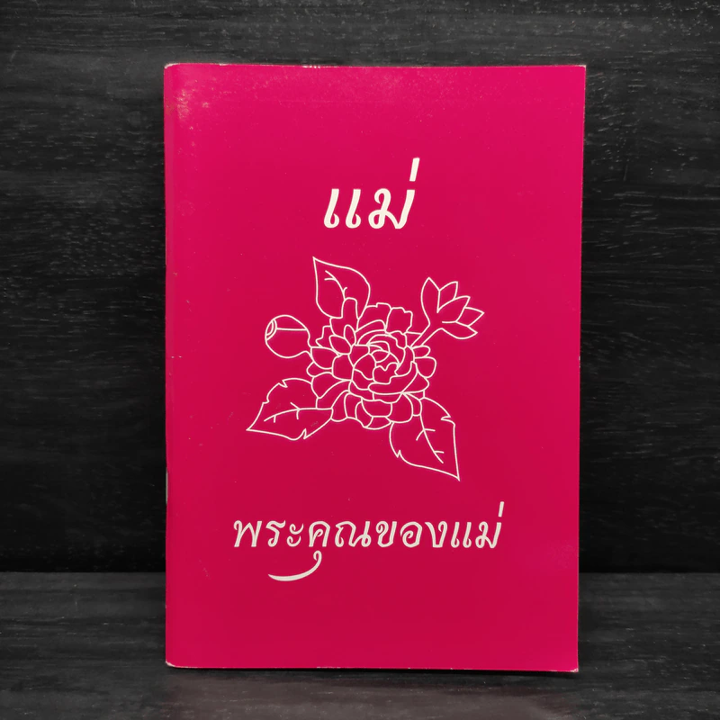 แม่ พระคุณของแม่ รูปที่ 1
