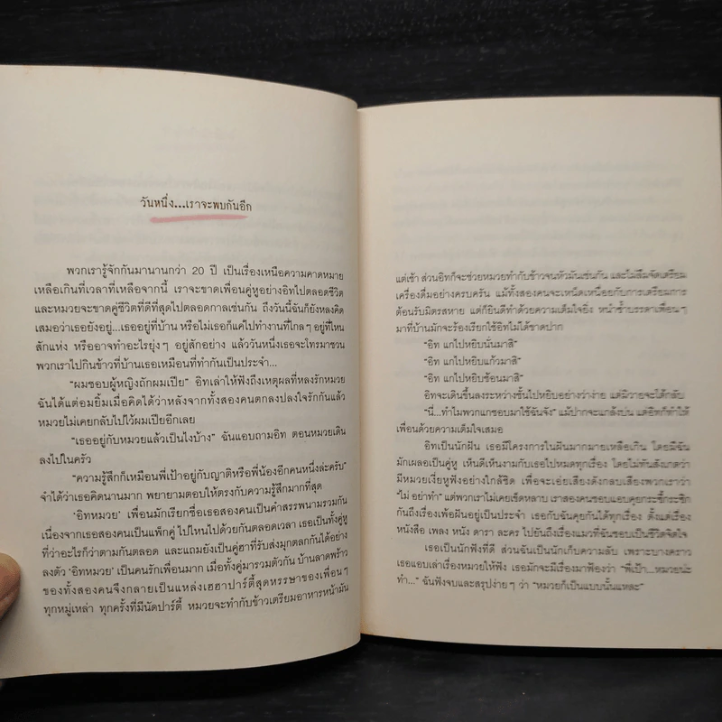 7,300 วันที่เรารักกัน Lots of Love - ธนาพร ตั้งเจริญมั่นคง รูปที่ 5