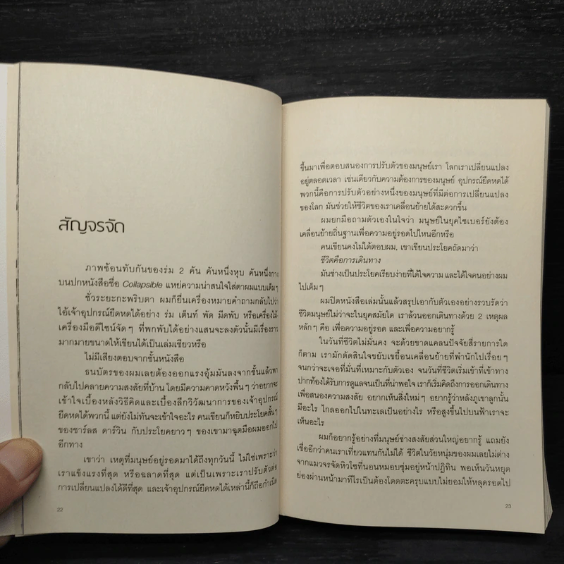 สองเงาในเกาหลี - ทรงกลด บางยี่ขัน รูปที่ 7