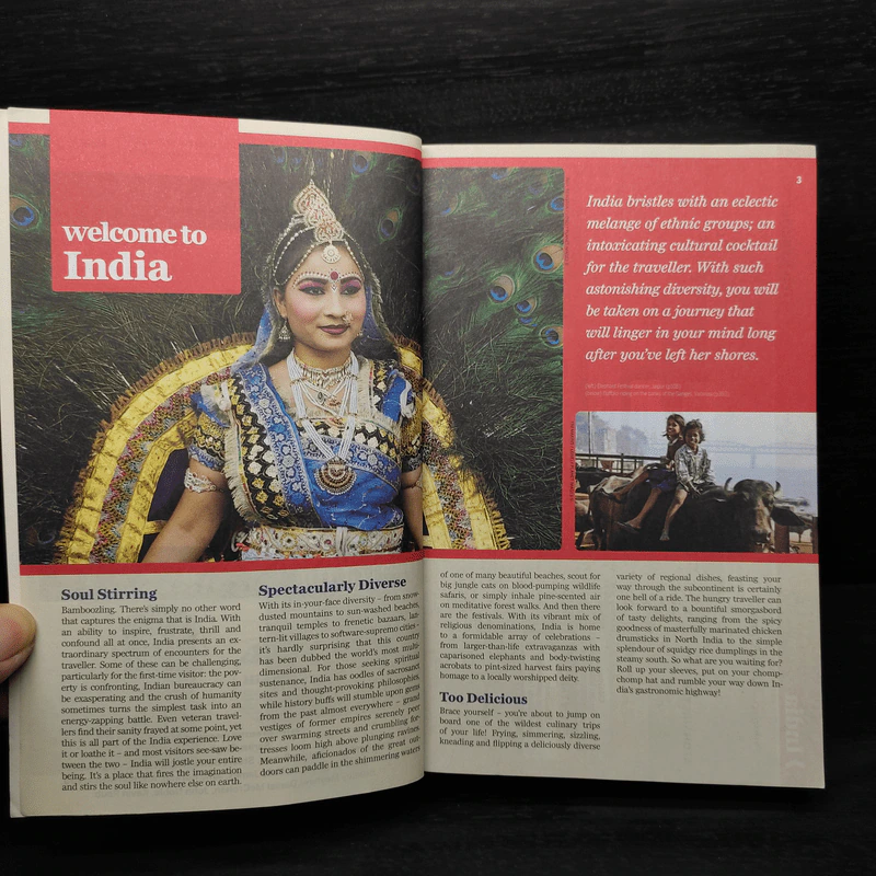 India - lonely planet รูปที่ 5