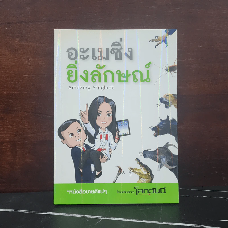 อะเมซิ่งยิ่งลักษณ์ รูปที่ 1