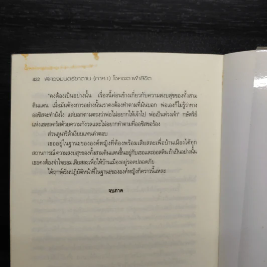 พิศวงมนตร์ซาตาน ภาค 1 โชคชะตาฟ้าลิขิต - Lunarita รูปที่ 8