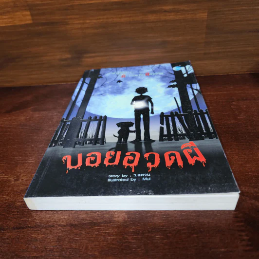 บอยอวดผี - ว.แหวน รูปที่ 4