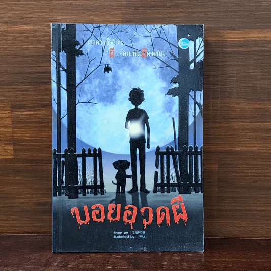 บอยอวดผี - ว.แหวน รูปที่ 1