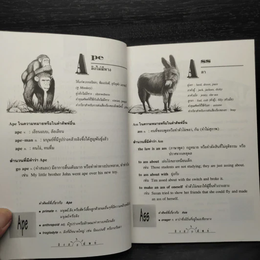 สิงสาราศัพท์ - สรรเสริญ สุวรรณประเทศ รูปที่ 7