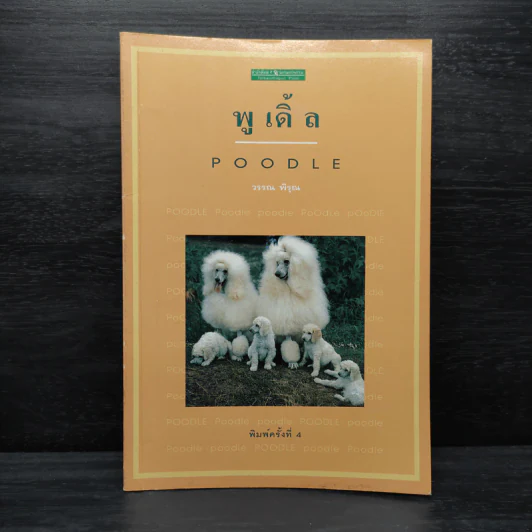 พูเดิ้ล Poodle - วรรณ พิรุณ รูปที่ 1