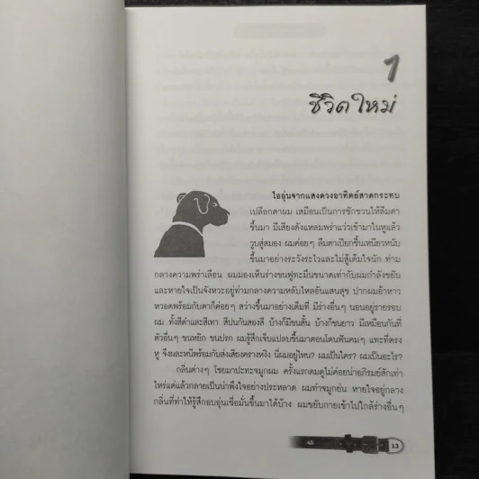 FLUKE หมาก็มีหัวใจ - James Herbert, โสภาพรรณ รูปที่ 7