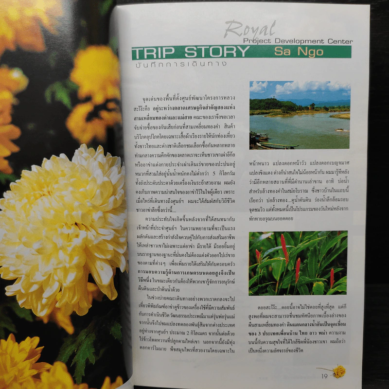 ท่องเที่ยวมหัศจรรย์ 36 ดอย โครงการหลวง รูปที่ 6