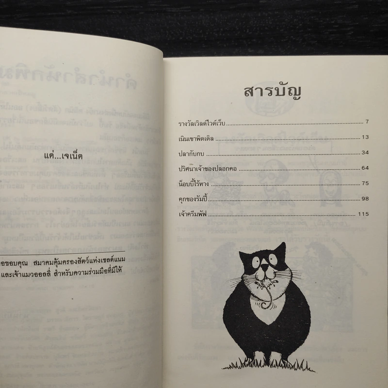 ทำไงดี! แมวของฉันกลายเป็นหมู - Tony De Saulles รูปที่ 6