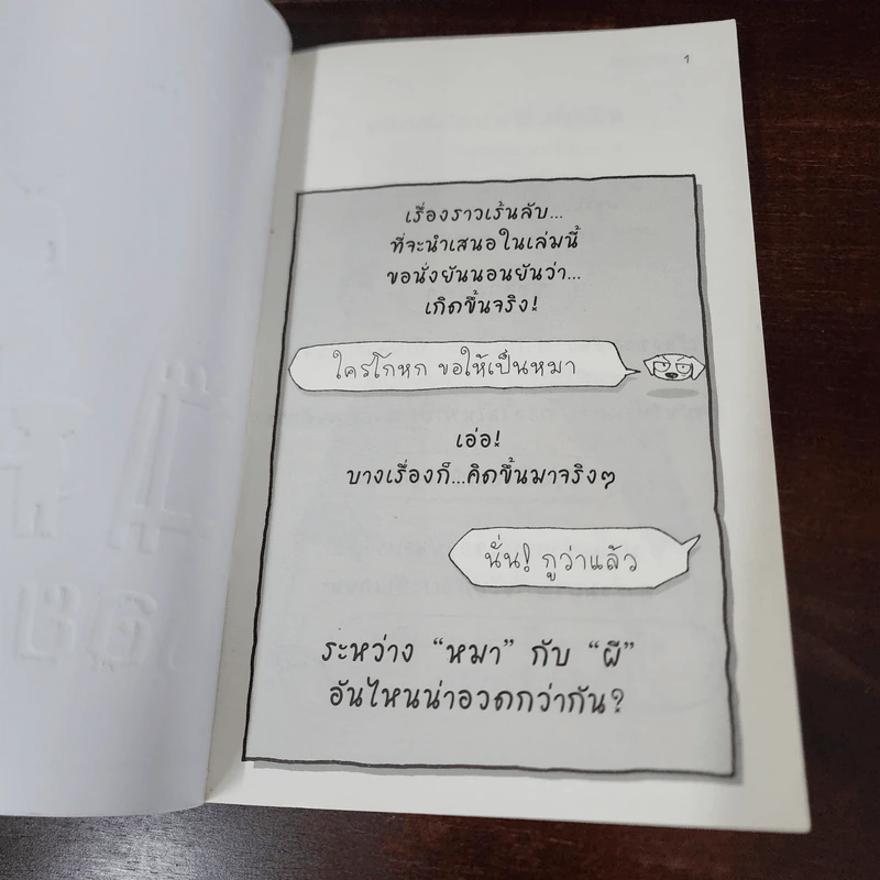 บอยอวดผี - ว.แหวน รูปที่ 7