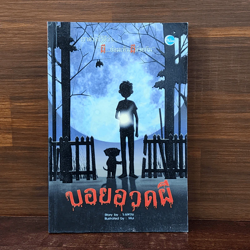 บอยอวดผี - ว.แหวน รูปที่ 1