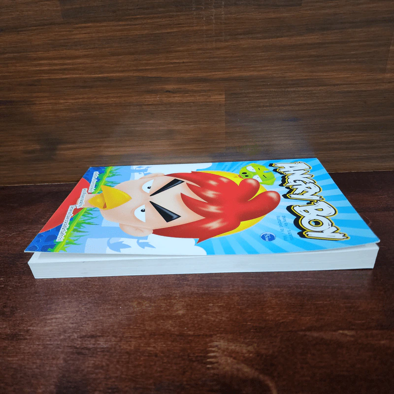 Angry Boy - ว.แหวน รูปที่ 3
