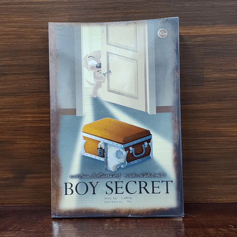 Boy Secret - ว.แหวน รูปที่ 1