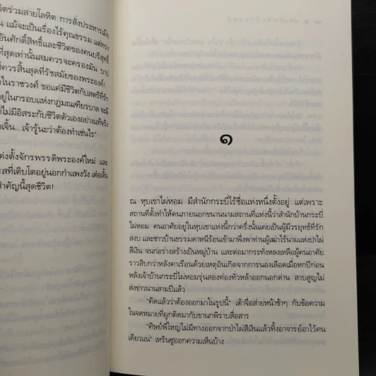 ดวงใจรักจ้าวยุทธ์ - กะรัต รูปที่ 6