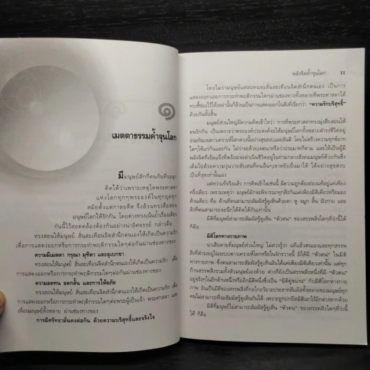 พลังจิตค้ำจุนโลก - ปริญญา ตันสกุล รูปที่ 7