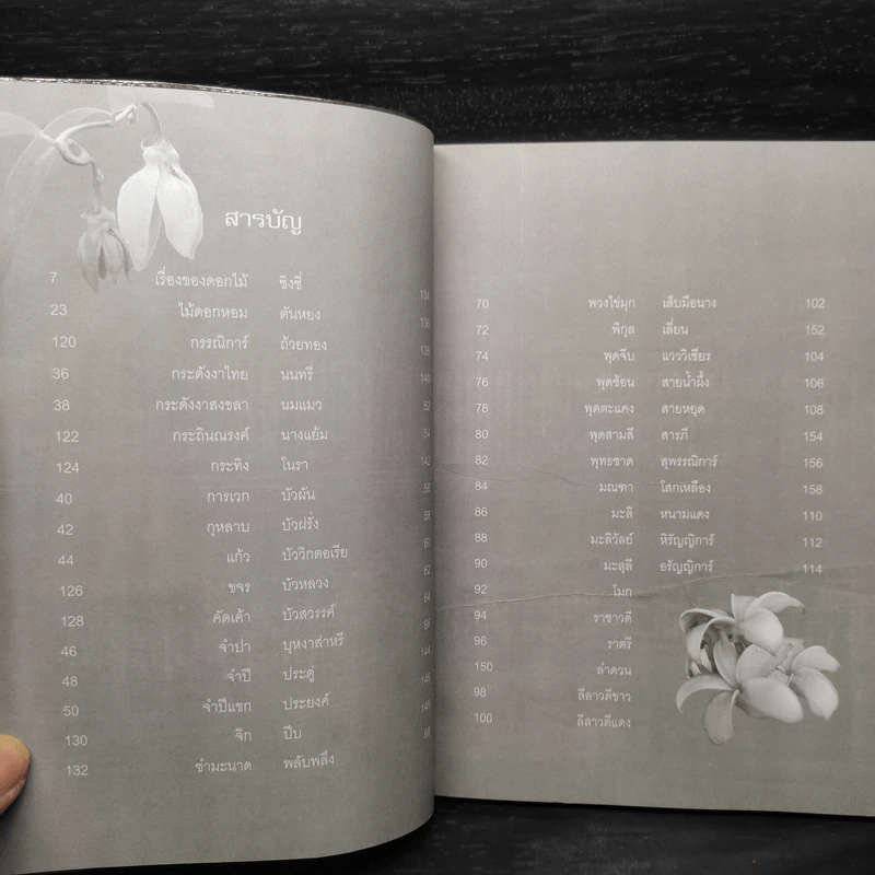 สุดยอดไม้ประดับ ไม้ดอกหอม - พัฒน์ พิชาน รูปที่ 6