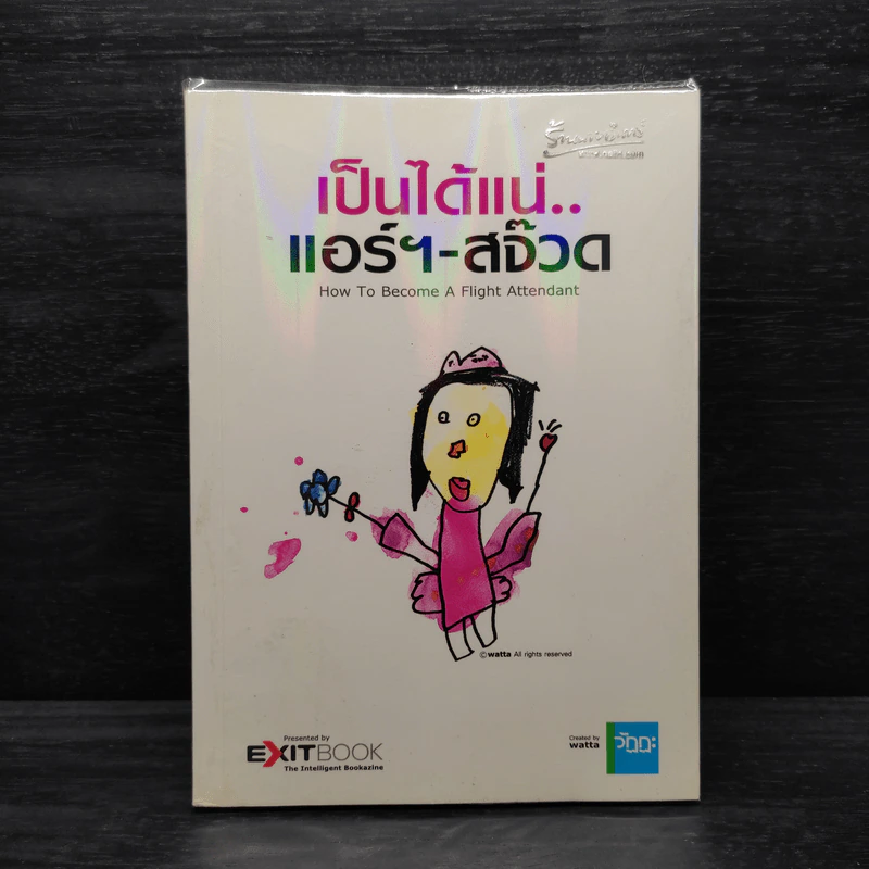 เป็นได้แน่...แอร์-สจ๊วด รูปที่ 1
