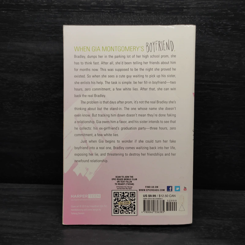 The Fill-In Boyfriend - Kasie West รูปที่ 2