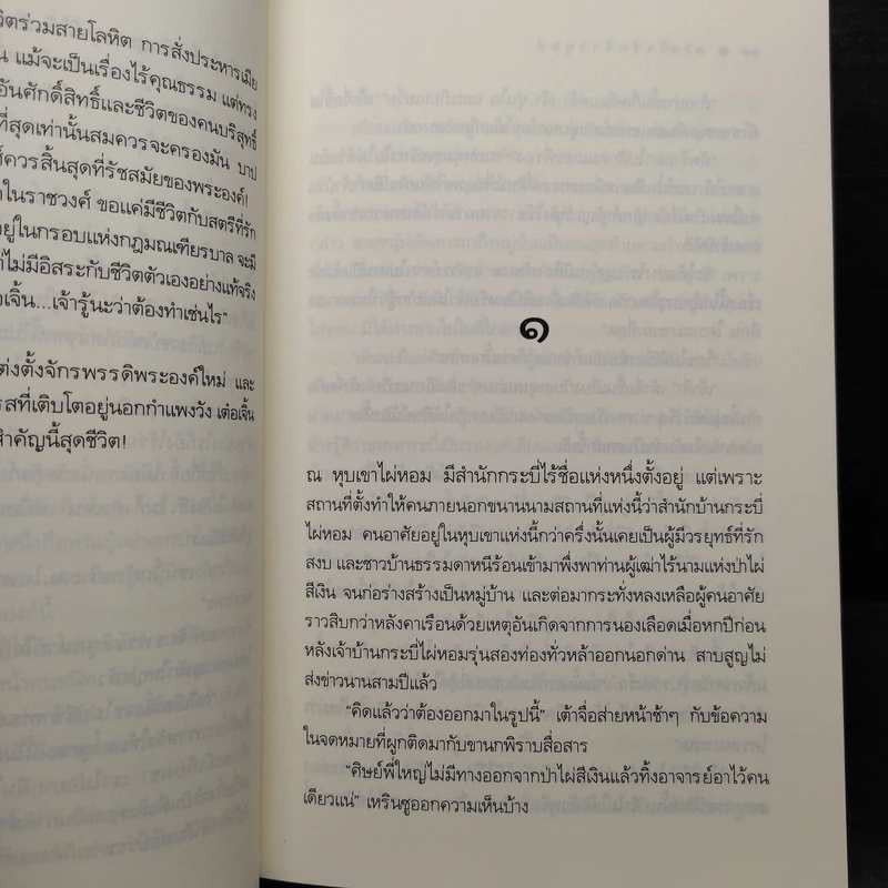 ดวงใจรักจ้าวยุทธ์ - กะรัต รูปที่ 6