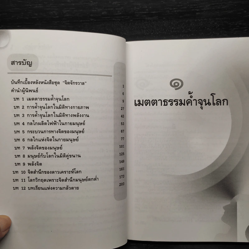 พลังจิตค้ำจุนโลก - ปริญญา ตันสกุล รูปที่ 6