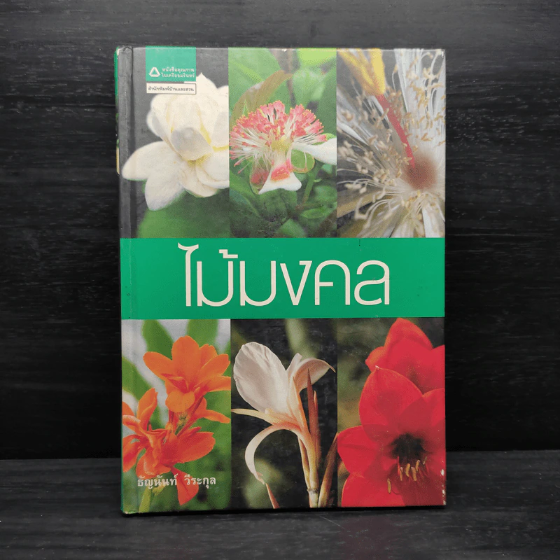 ไม้มงคล - ธัญนันท์ วีระกุล รูปที่ 1