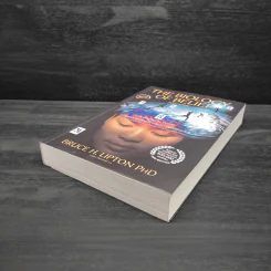 The Biology of Belief ฉบับภาษาไทย ศาสตร์แห่งการใช้ความคิดเพื่อสร้างชีวิต - Bruce H. Lipton PhD รูปที่ 4