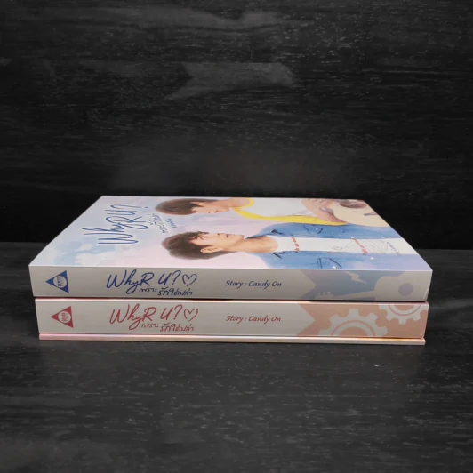 Box Set นิยายวาย WHY R U ? เพราะรักใช่เปล่า รูปที่ 5