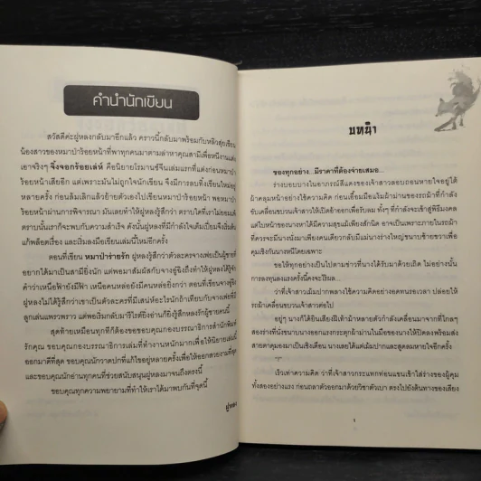 จิ้งจอกร้อยเล่ห์ ชุด เจ้าสาวลวงรัก - ฝูหลง รูปที่ 6