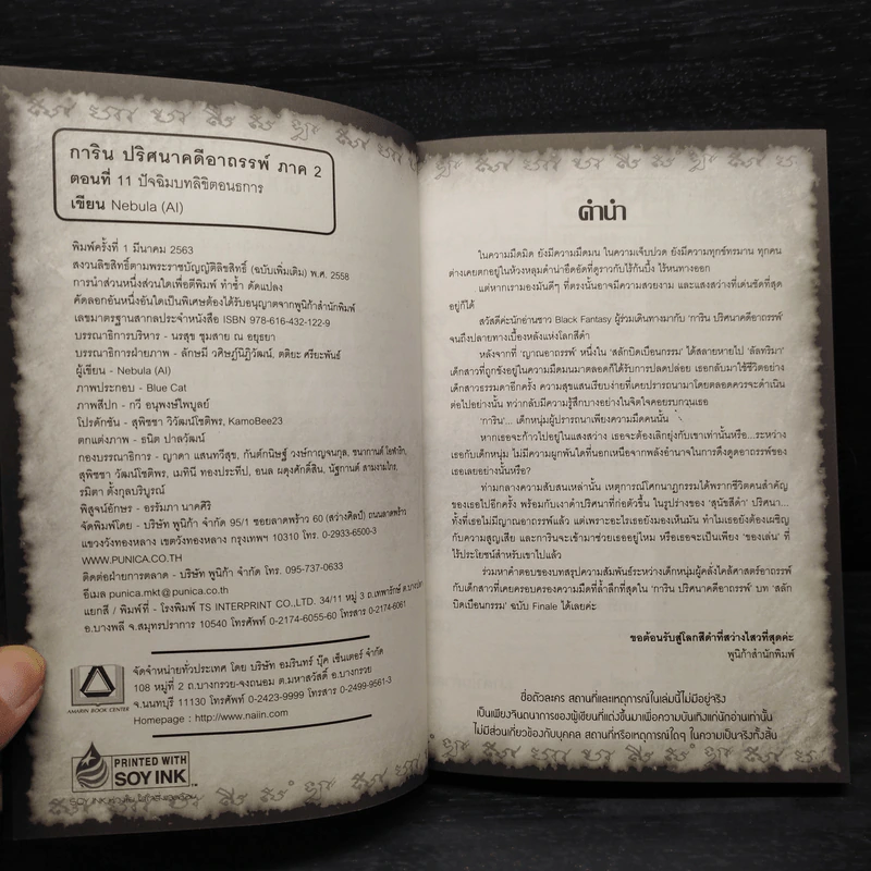 การิน ปริศนาอาถรรพ์ลิขิตอนธการ เล่ม 11 (จบภาค) รูปที่ 4