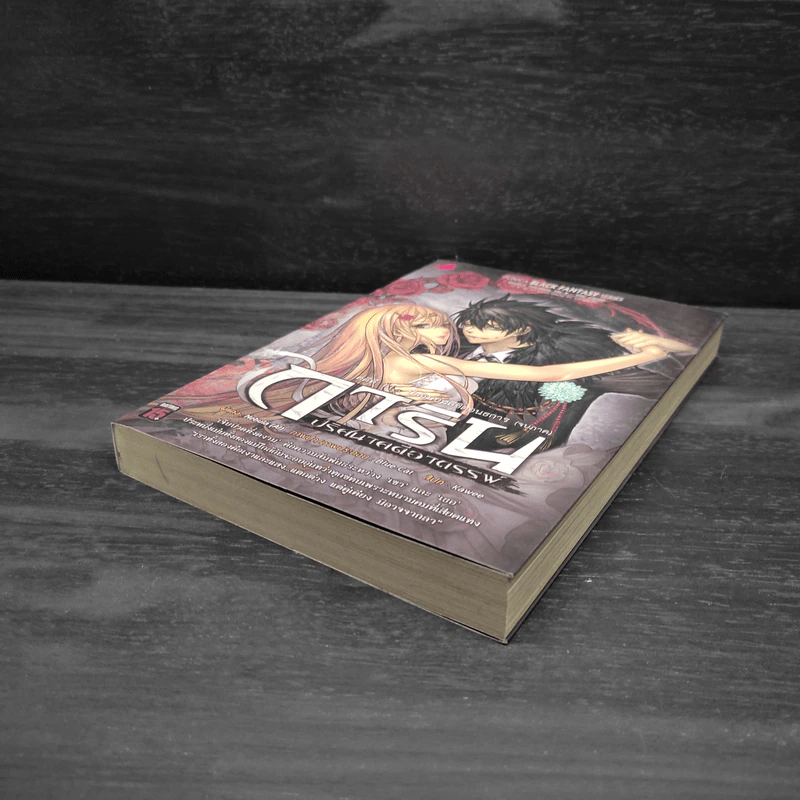 การิน ปริศนาอาถรรพ์ลิขิตอนธการ เล่ม 11 (จบภาค) รูปที่ 3