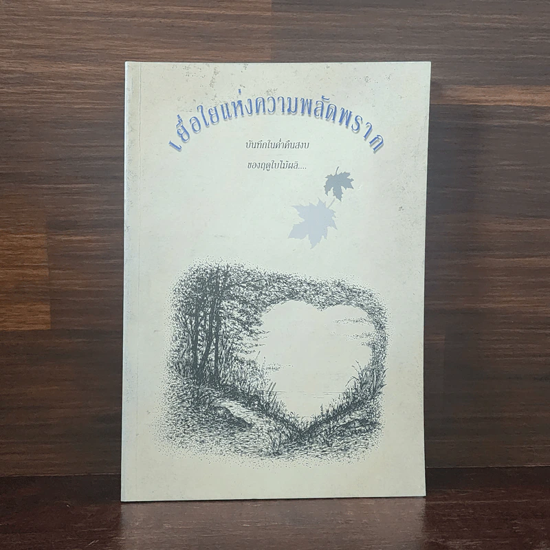 เยื่อใยแห่งความพลัดพราก - แพทย์เชิงดอย รูปที่ 1