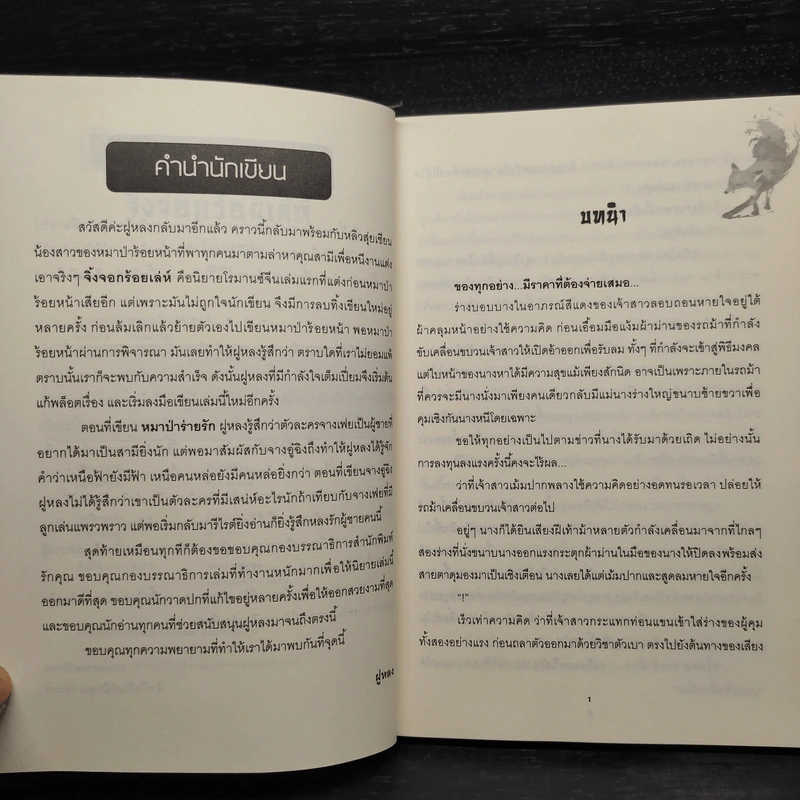 จิ้งจอกร้อยเล่ห์ ชุด เจ้าสาวลวงรัก - ฝูหลง รูปที่ 6