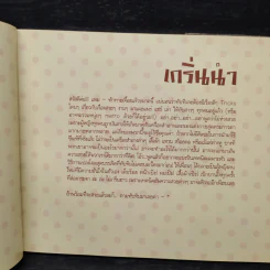 แต่งเองหลากสไตล์ - ทับทิม มัลลิกา รูปที่ 6
