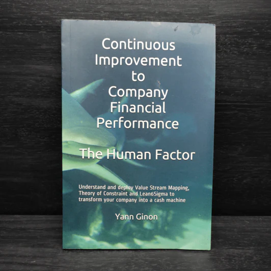 Continuous Improvement to Company Financial Performance The Human Factor รูปที่ 1