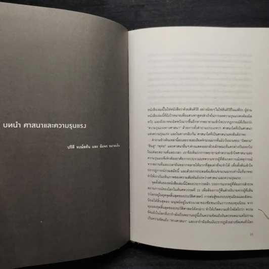 ศาสนากับความรุนแรง - ปรีดี หงษ์สต้น, อัมพร หมาดเต็น รูปที่ 7