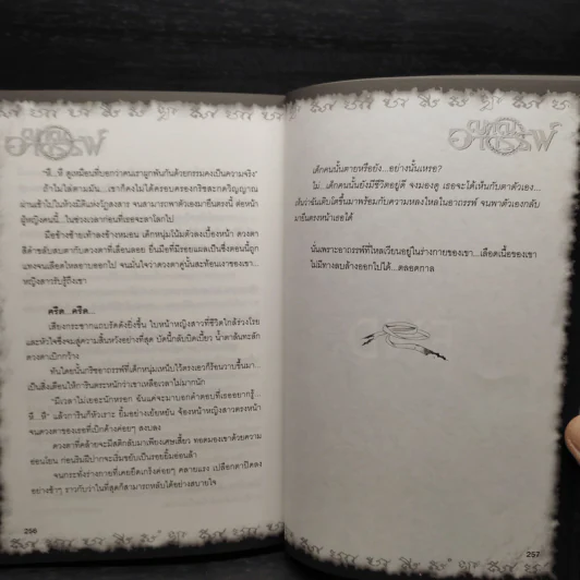 Box Set การิน ปริศนาคดีอาถรรพ์ Limited Edition บท...สลักบิดเบือนกรรม 10 เล่ม รูปที่ 12