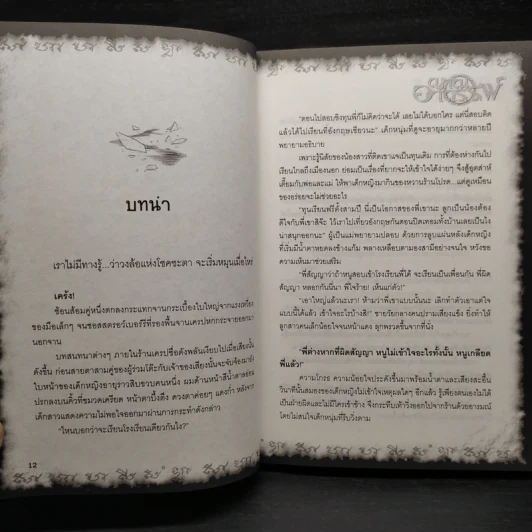 Box Set การิน ปริศนาคดีอาถรรพ์ Limited Edition บท...สลักบิดเบือนกรรม 10 เล่ม รูปที่ 10