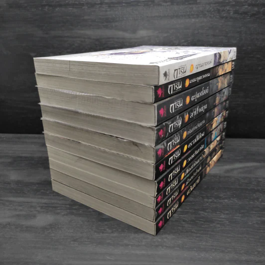 Box Set การิน ปริศนาคดีอาถรรพ์ Limited Edition บท...สลักบิดเบือนกรรม 10 เล่ม รูปที่ 7