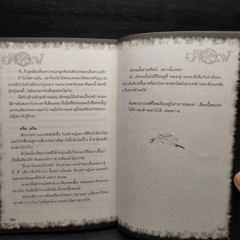 Box Set การิน ปริศนาคดีอาถรรพ์ Limited Edition บท...สลักบิดเบือนกรรม 10 เล่ม รูปที่ 12
