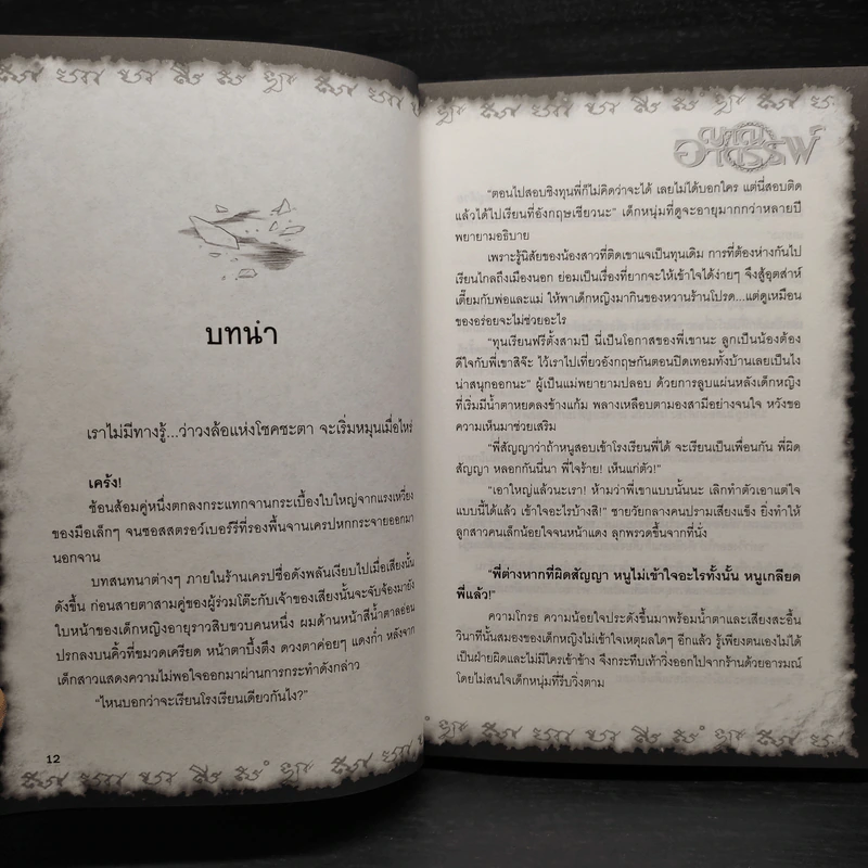 Box Set การิน ปริศนาคดีอาถรรพ์ Limited Edition บท...สลักบิดเบือนกรรม 10 เล่ม รูปที่ 10