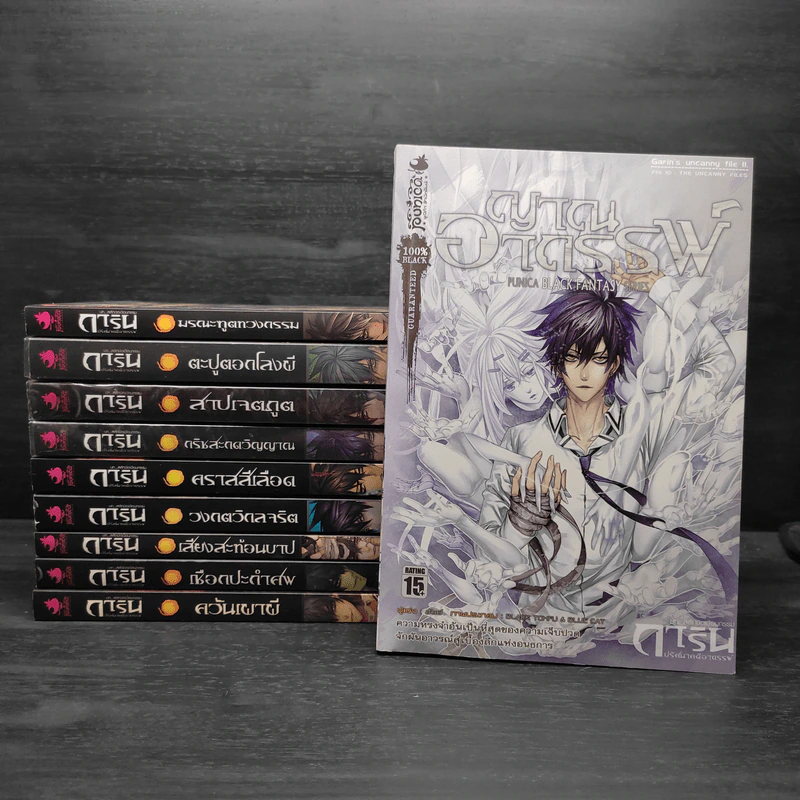 Box Set การิน ปริศนาคดีอาถรรพ์ Limited Edition บท...สลักบิดเบือนกรรม 10 เล่ม รูปที่ 4